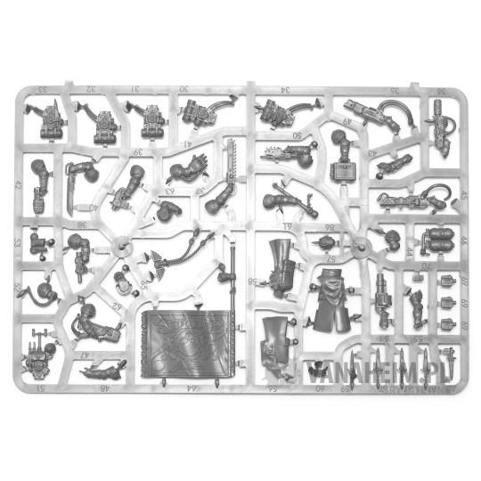 Tempestus Scions / Command Squad