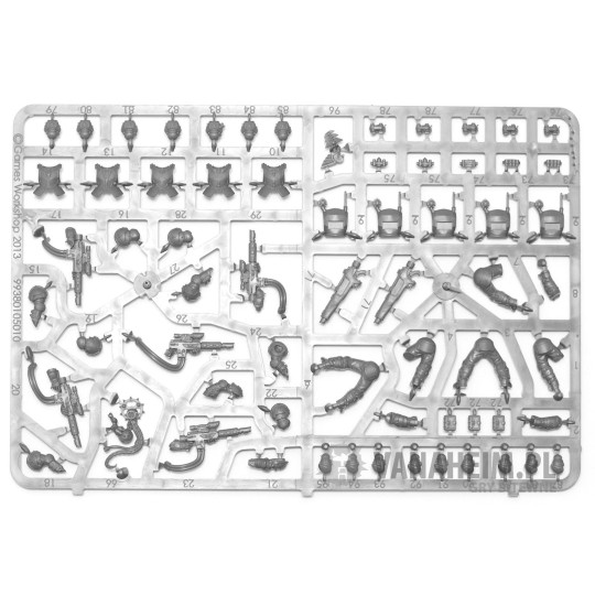 Tempestus Scions / Command Squad