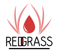 Red Grass Games